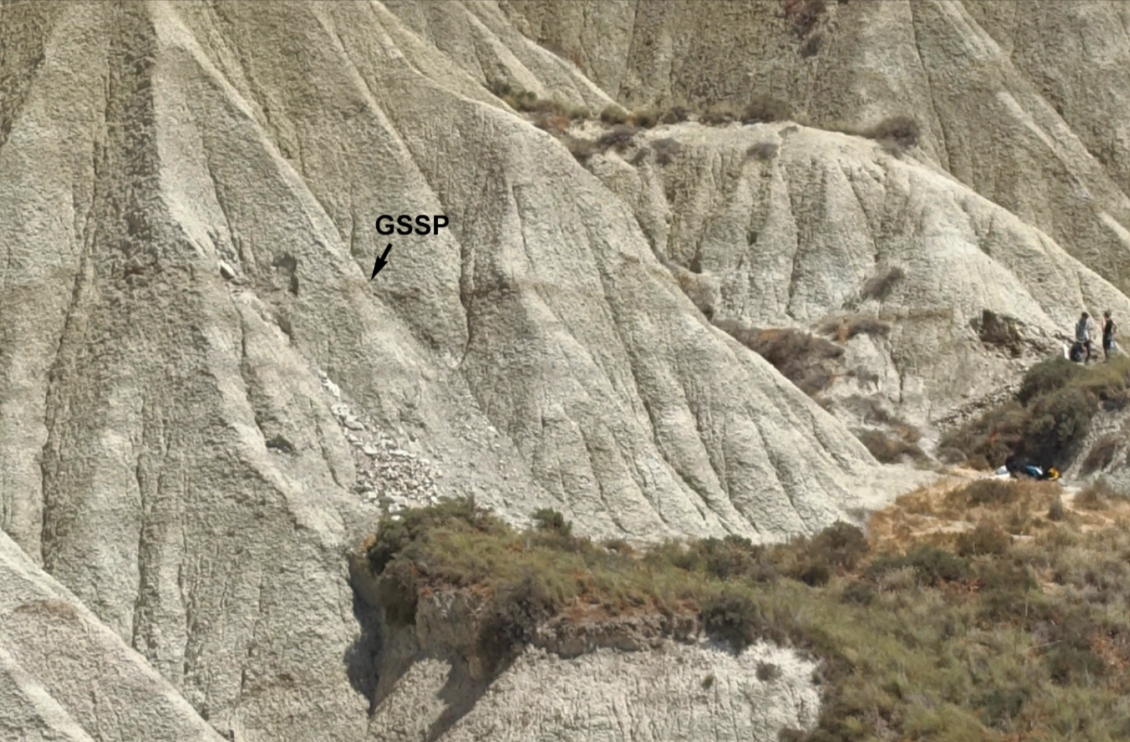 <p>(global boundary stratotype section and point) Segnano un cambio nel sistema terra, sono definiti in una sezione geologica di riferimento </p>
