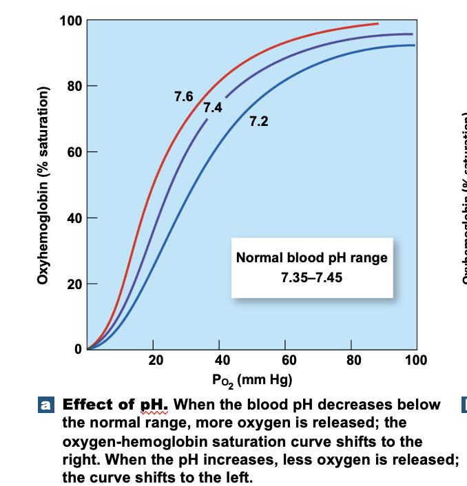 <p>More acidity </p>