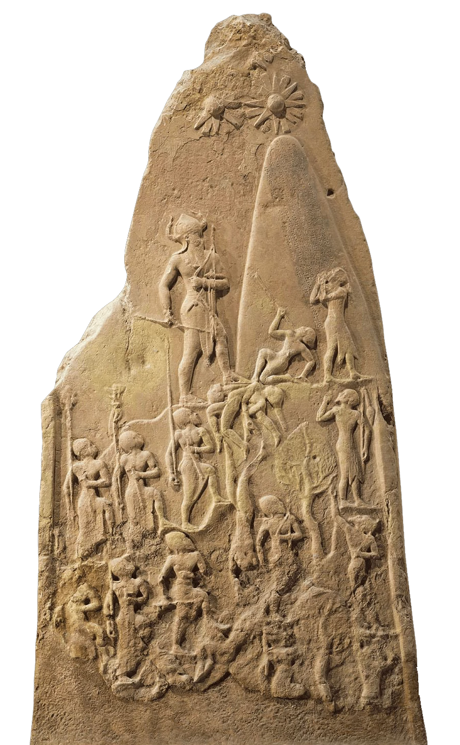 <p>Identify</p>