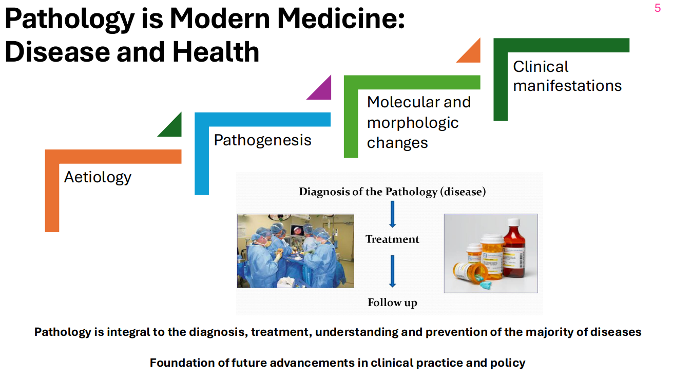 <p>Pathology SUMMARY</p>