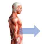 <p>Away from midline </p>