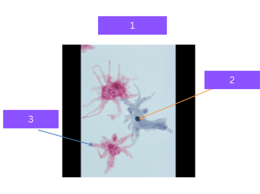 <p>what is&nbsp;3</p>