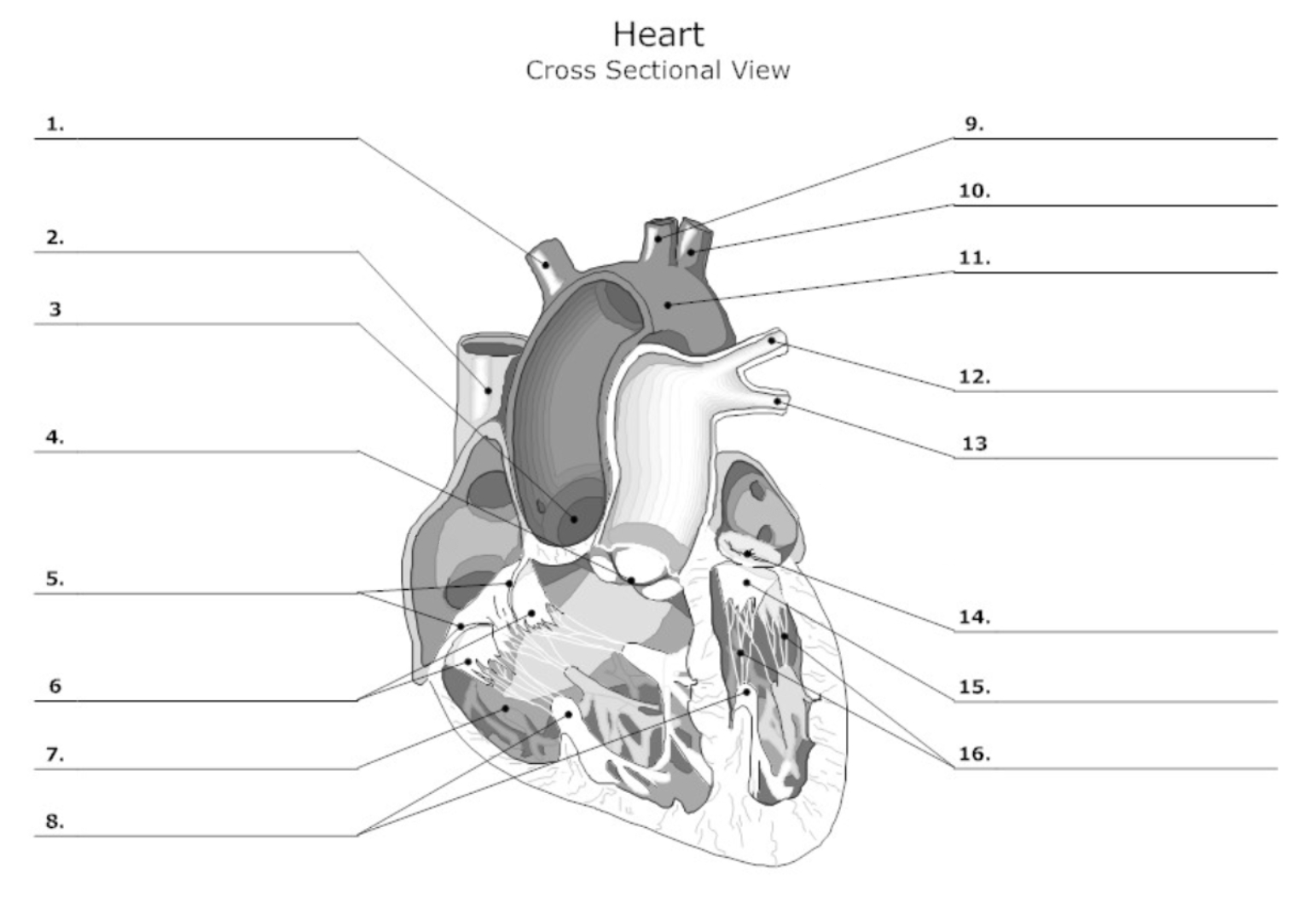 <p>label #1, 9, 10</p>