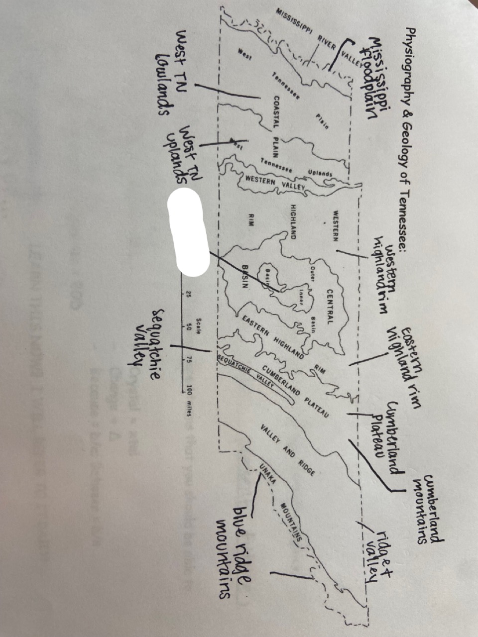 which one is marked out?