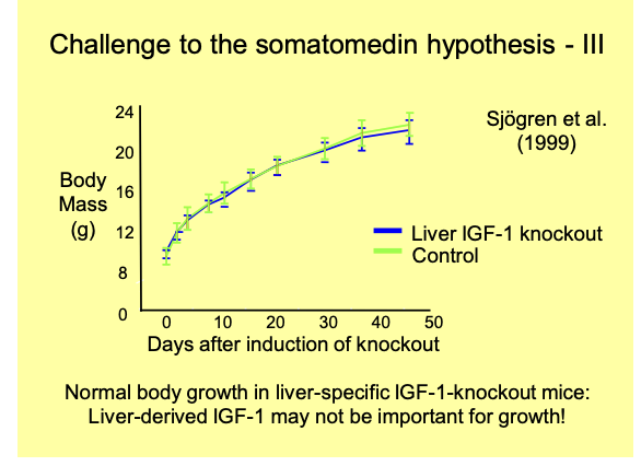 <ul><li><p>IGF-1 is produced<em> locally</em> in target tissues</p></li><li><p>under the influence of GH</p></li></ul><p>→ Liver-derived IGF-1 may not be important for growth</p><p><em>this developed the→</em> Dual effector hypothesis</p><p></p>