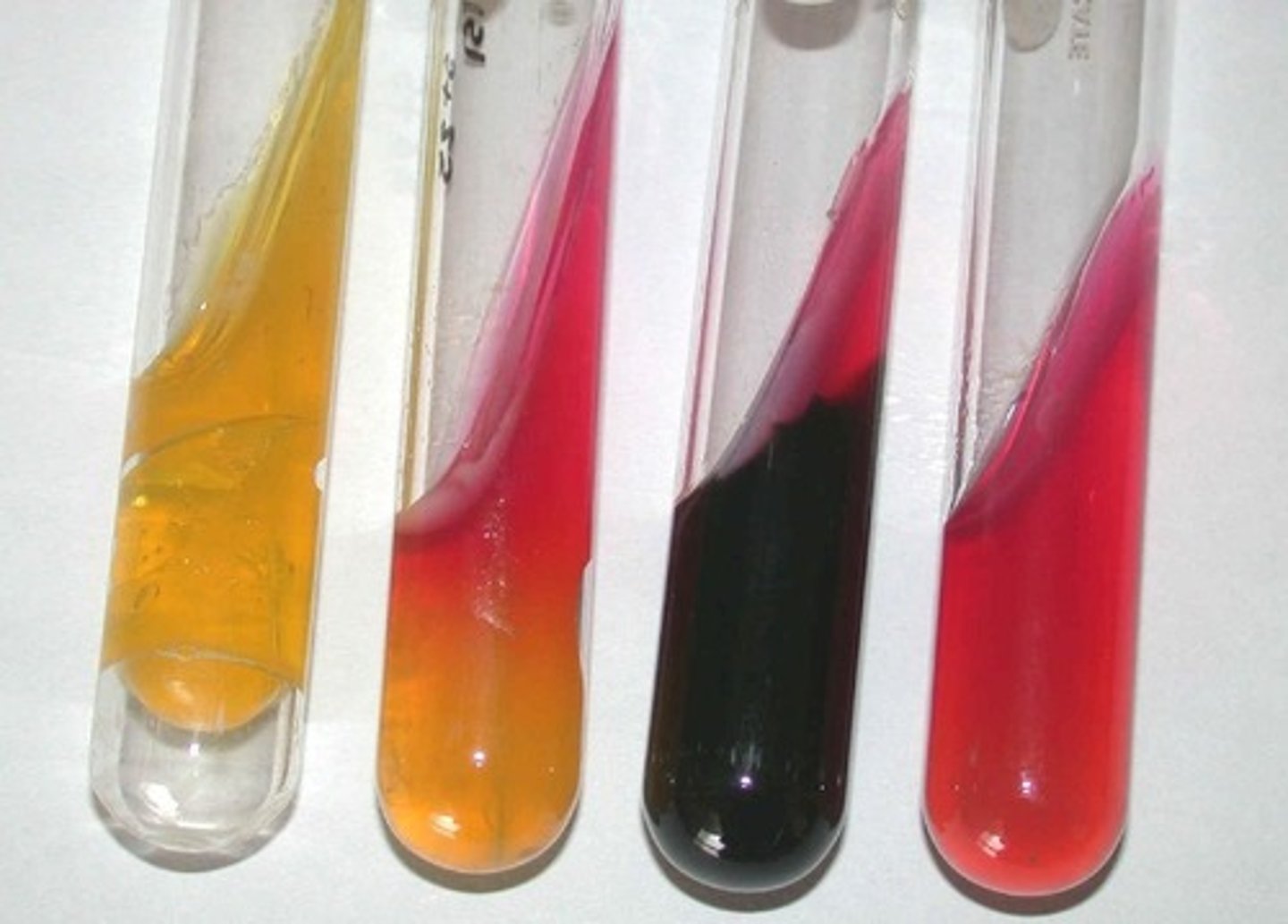 <p>What are these?</p>