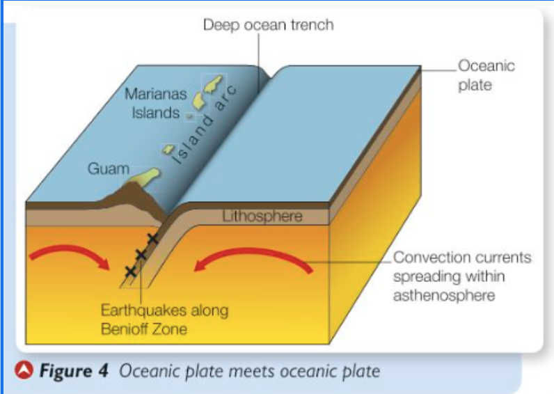 <p>Where oceanic crust meets oceanic crust, the more dense oceanic crust subducts beneath the less dense oceanic crust and a line of volcanic islands known as an island arc can appear. On the western side of the Pacific Ocean, where the Pacific plate is being subducted beneath the smaller Philippines plate, a line of volcanic islands, including Guam and the Marianas, has been formed from magma upwelling from the Benioff zone.</p><p></p><ol><li><p><span style="background-color: transparent;"><span>Two plates are pushed together and the denser or faster crust gets </span><strong><u><span>subducted</span></u></strong><span> beneath the lighter crust. This makes a deep ocean trench.&nbsp;</span></span></p></li><li><p><span style="background-color: transparent;"><span>The plate sticks and locks as it tries to slide under the plate.</span></span></p></li><li><p><span style="background-color: transparent;"><span>Heat from friction and the mantle starts to melt the subducted plate. Then it rises up from the </span><strong><span>Benihoff zone</span></strong><span> as a submarine volcano which could grow to form island arcs.</span></span></p></li></ol><p></p>