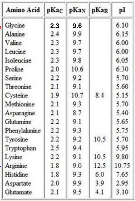 <p><span>Each ionizable group in the amino acid has its own pKa and thus, its own buffering range</span></p><p><span>e.g. </span><span style="color: #5aa83f">Glycine can buffer around pH 2.3 (pKa of carboxylic acid) and at pH 9.6 (pKa of a- amino group)eg. Arginine can buffer at pH 1.8, 9.0 and 12.5 (guanidinium moiety)</span></p>