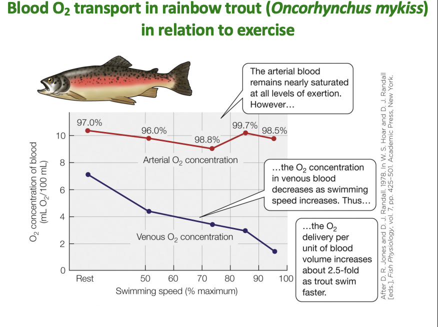 <p>what does this graph show?</p>
