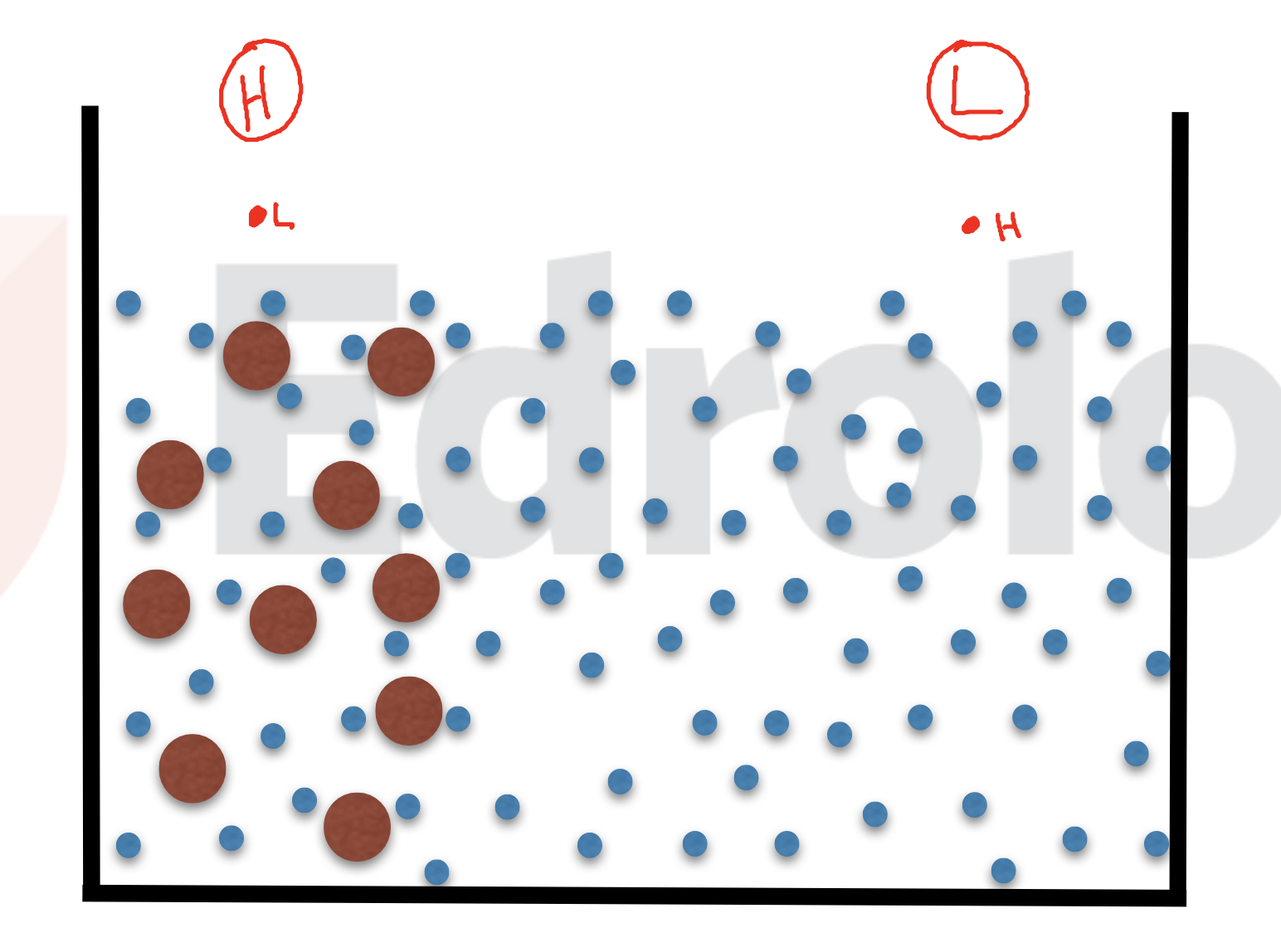 <p><strong><em>&nbsp;Diffusion: Is the dispersion of molecules into an available space. High to low concentration&nbsp;</em></strong></p><p><strong><em>Passive diffusion= cell movement&nbsp; into other cells without energy&nbsp;</em></strong></p><p></p>