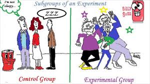 <p>Control group</p>