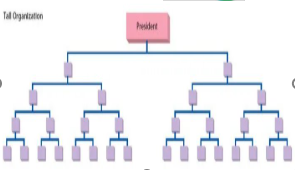 <p><em>More hierarchical, with several layers of management, from executives at the top to low level employees at the bottom. Here each manager has a narrower span of control with less subordinates. </em></p><p><em>advantages: clearer communication, better supervision, and specialized roles.</em></p><p><em>disadvantages: slower decision-making and increased costs.</em></p>