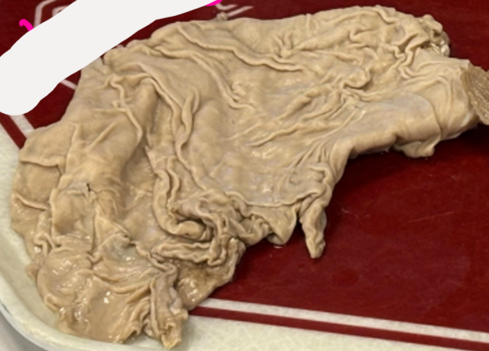 <p>What is pictured? </p>