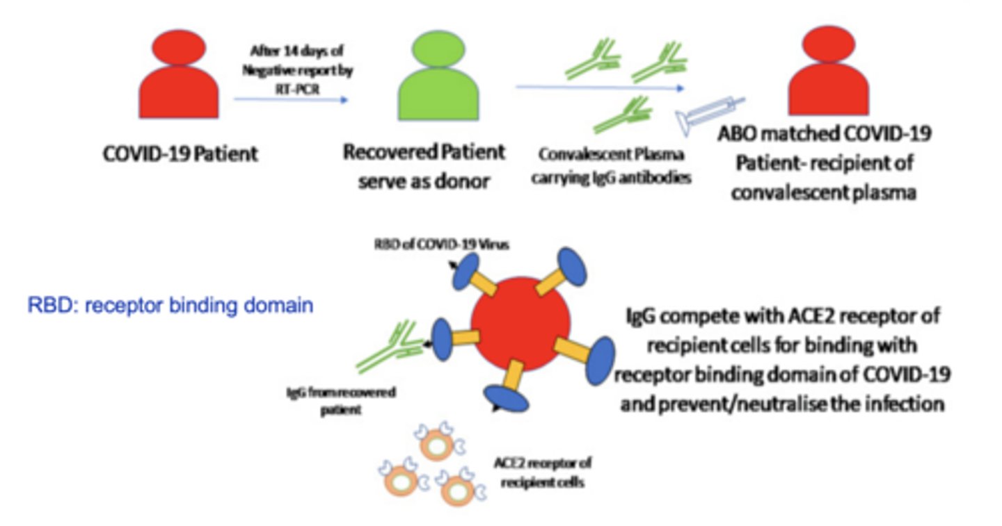 <p>What cell was used for COVID 19 treatment?</p>