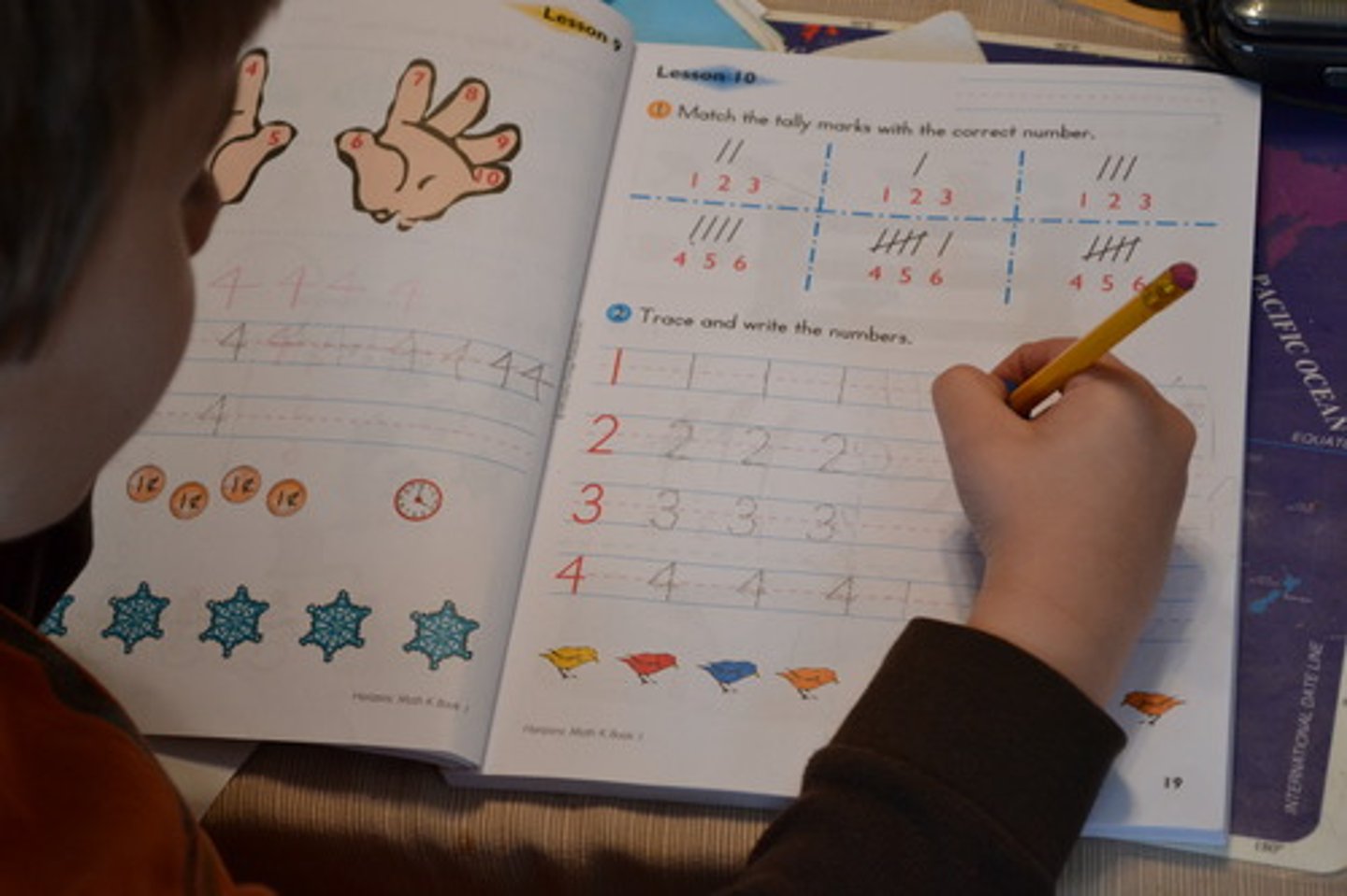 <p>exercise, activity</p>