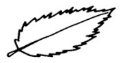 <p></p>