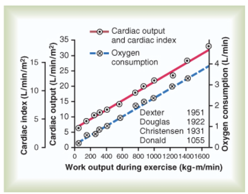<p>Cardiac output and oxygen consumption mirror one another as work output increases</p><p></p>