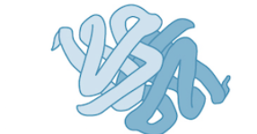 <p>What level of protein structure is this ?</p>