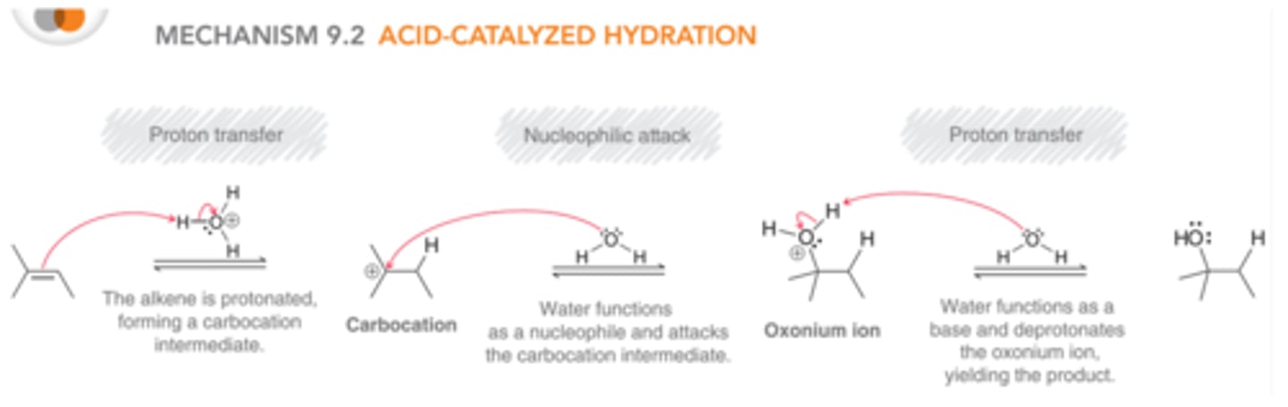 <p>The alkene is first protonated to generate a carbocation intermediate, which is then attacked by a nucleophile, which is identical to hydrohalogenation. However, in this case the attacking nucleophile is neutral(H2O) rather than an anion(X^-), and therefore, a positively charged intermediate is generated. This positively charged intermediate is called an <b>oxonium ion</b>, and in order to remove this charge and form an electrically neutral product, the mechanism must conclude with a proton transfer</p>
