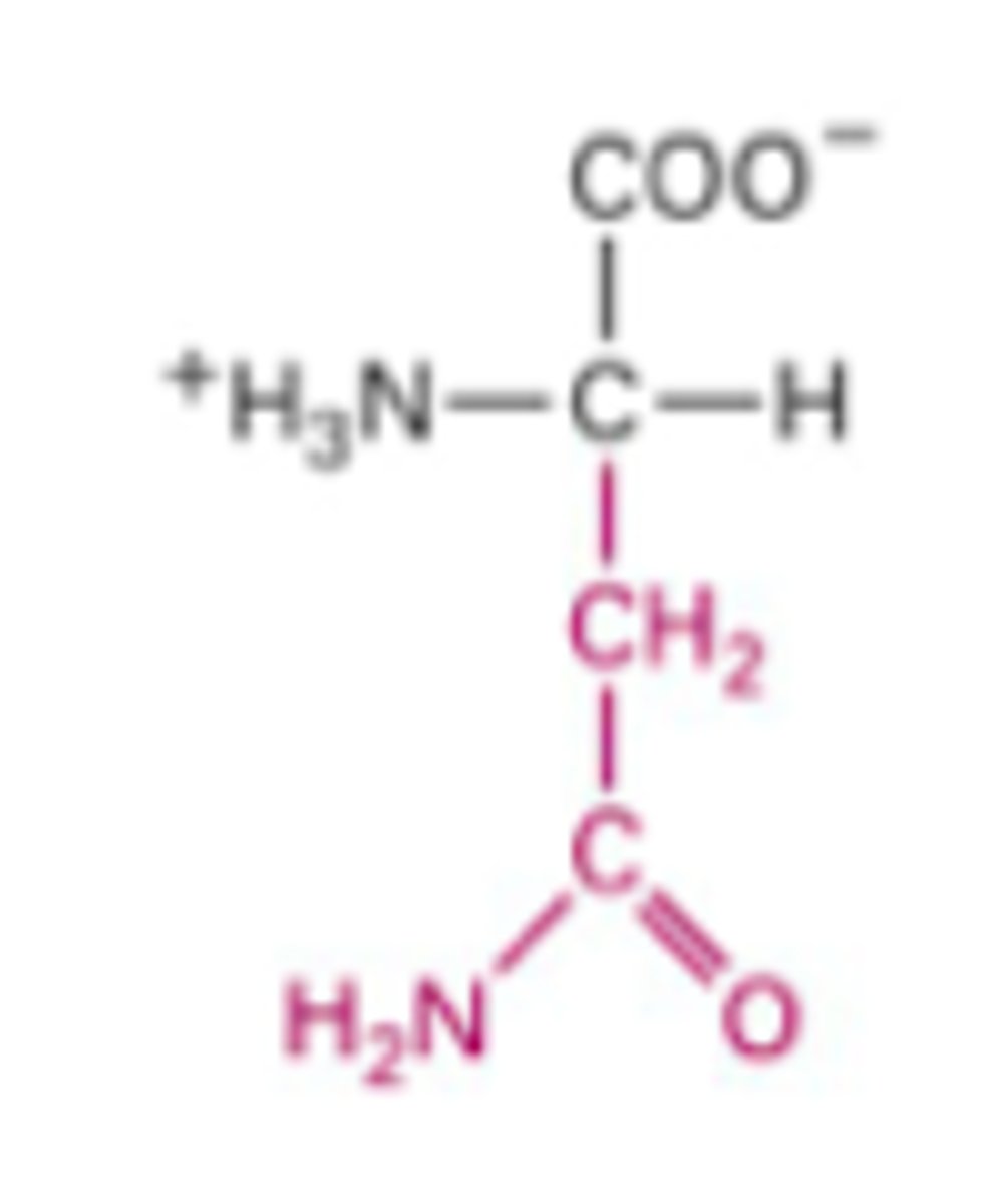 <p>What Structure is this?</p>