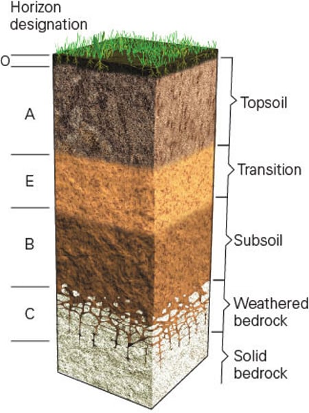 <p>Mineral horizon at the surface showing organic matter enrichment - where humus accumulates.</p>