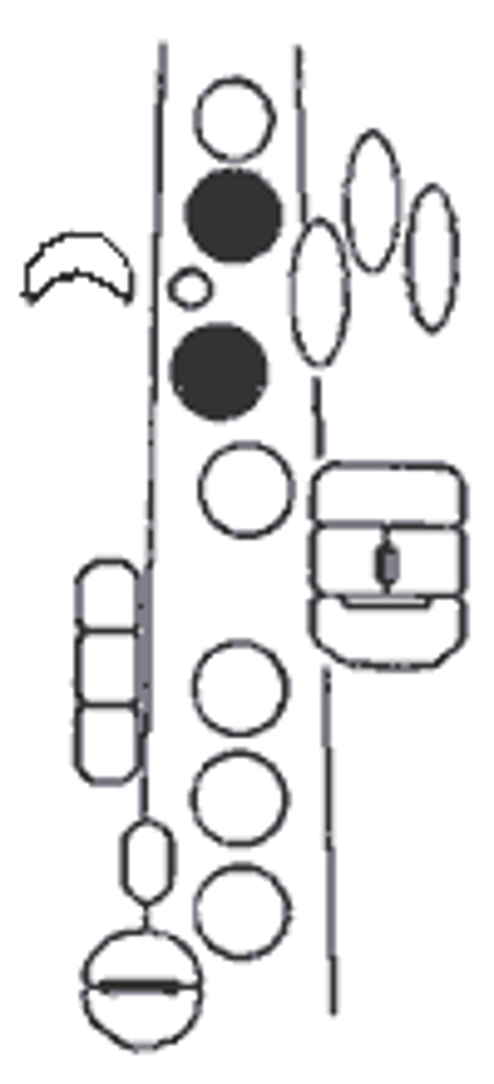 knowt flashcard image