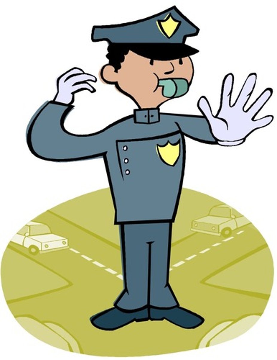 <p>police officer</p>