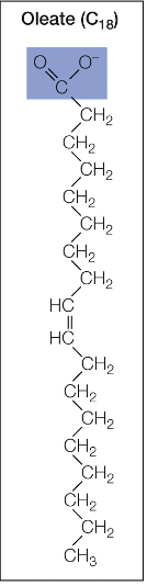 Oleate