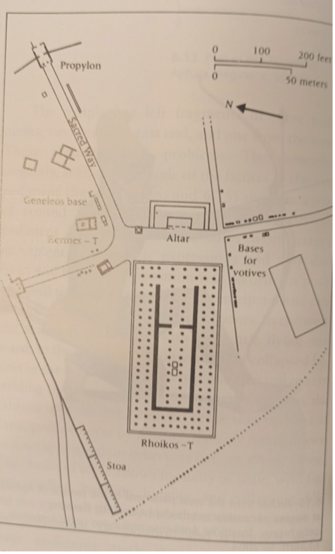 term image