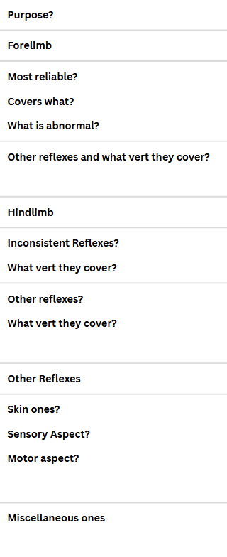 <p>Spinal reflexes</p>
