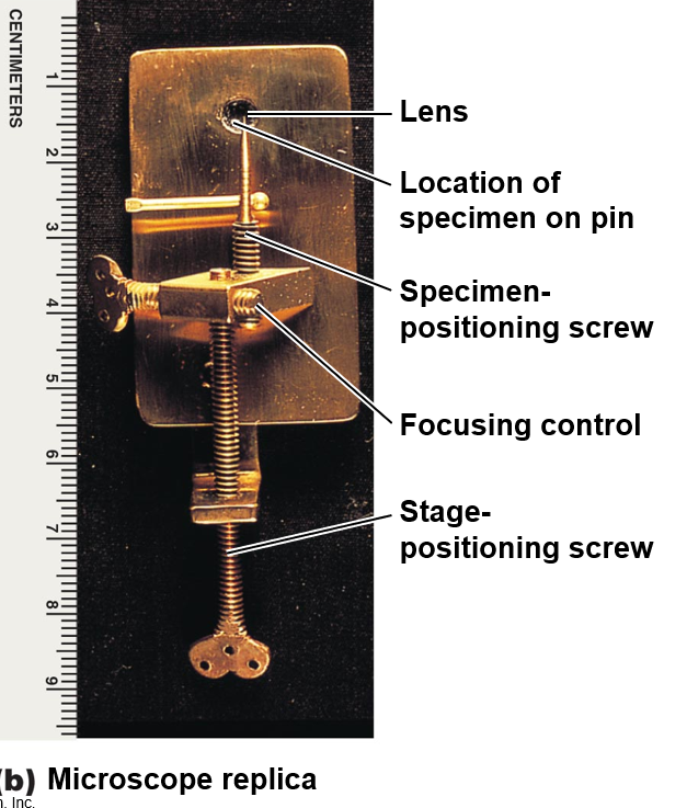 <p>Who was the first person to observe live organisms under a microscope in 1668?</p>