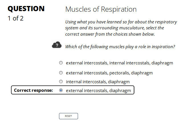 <p><span data-name="lungs" data-type="emoji">🫁</span> <strong>Inspiration = Inhalation = Breathing In</strong> </p><ul><li><p><strong>What happens?</strong></p><ul><li><p>The <strong>diaphragm contracts</strong> and moves downward.</p></li><li><p><strong>External intercostal muscles</strong> lift the rib cage.</p></li><li><p>This <strong>increases the space</strong> in your chest (thoracic cavity).</p></li><li><p>Air <strong>flows into your lungs</strong> because the pressure inside is now lower than the outside air.</p></li></ul></li></ul><p></p>