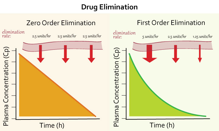 <p>Zero order kinetics </p>