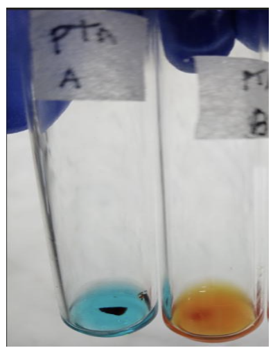 <ul><li><p><strong>Blood Group:</strong> A</p></li></ul><ul><li><p><strong>Antibody/Antibodies Present:</strong> Anti-B</p></li><li><p><strong>Antigen(s) Present:</strong> A</p></li></ul><p></p><ul><li><p><strong>Anti-A Sera: </strong>4+</p></li><li><p><strong>Anti-B Sera:</strong> 0</p></li></ul><p></p>