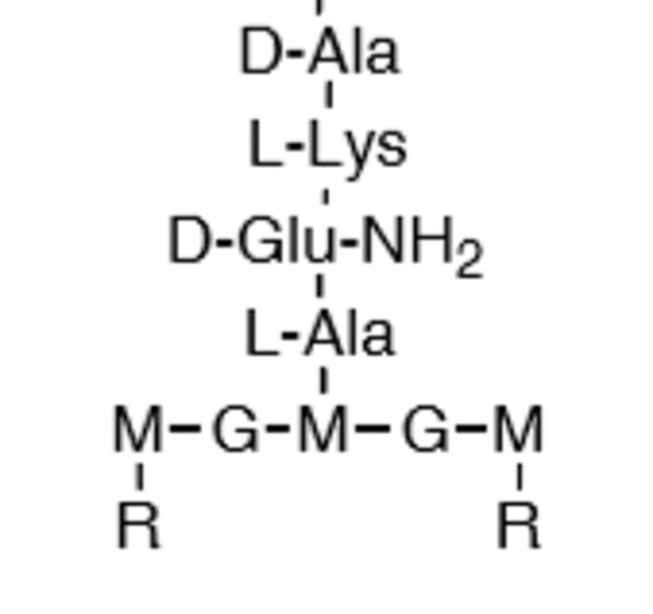 <p>D-Ala-D-Ala terminal chain</p>