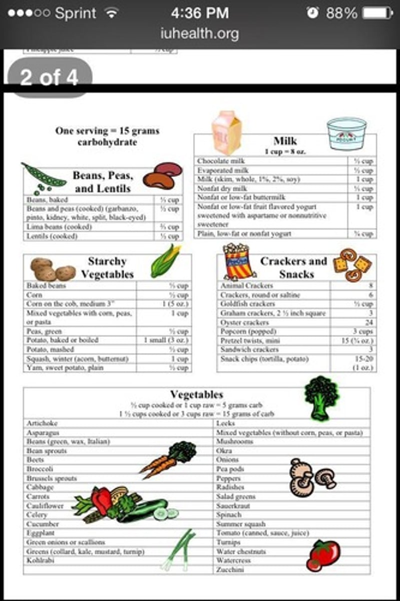 <p>Include foods like crackers and cheese or sandwiches for sustained energy.</p>