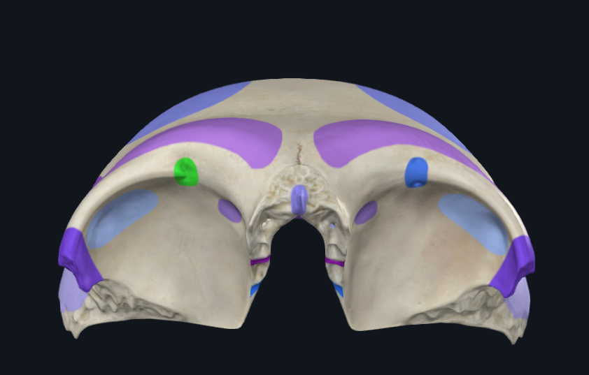 <p>What is highlighted in green</p>