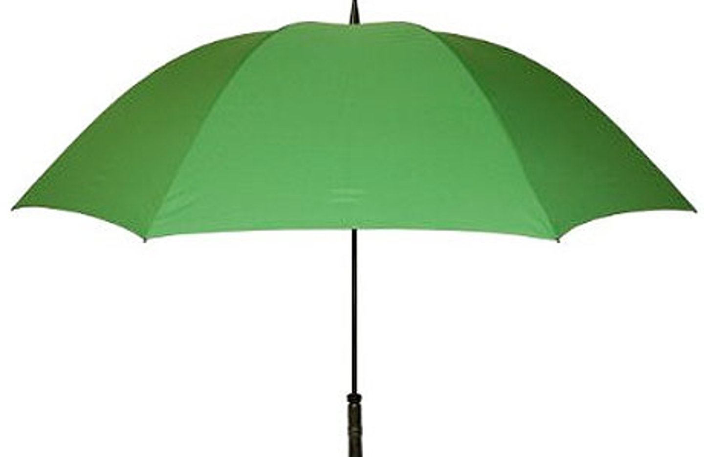 <p>an umbrella</p>
