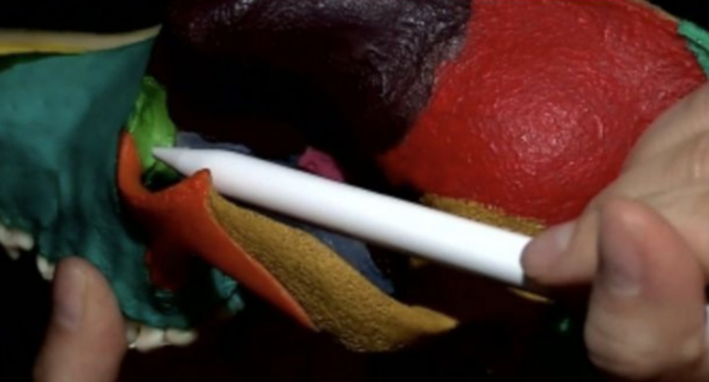 knowt flashcard image