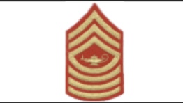 <p>3 Chevrons, 4 Rockers &amp; Lamp of Learning </p>