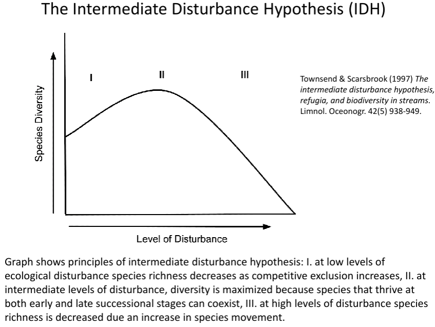 <p>Describe the intermediate disturbance hypothesis (IDH)</p>