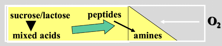 <p>this test shows&nbsp;</p>