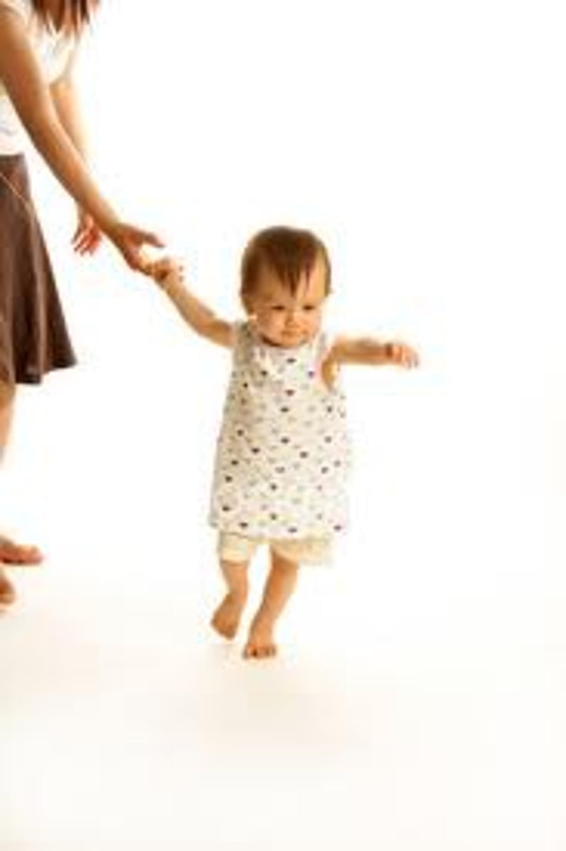 <p>the support for learning and problem solving that encourages independence and growth, then removed when no longer needed - not specifically a physical thing</p>