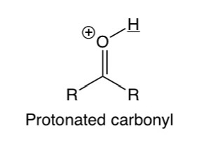 <p><span>Protonated carbony</span>l</p>