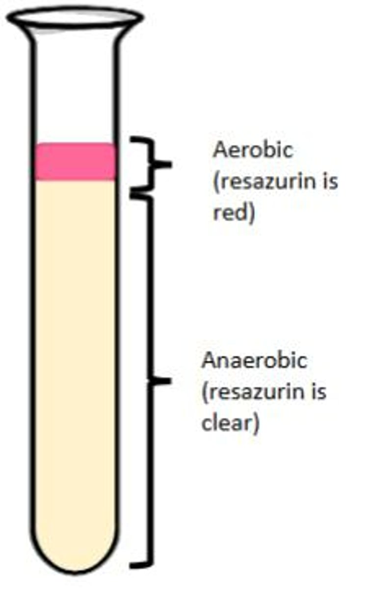<p>Resazurin indicates the presence of oxygen; it turns red when oxygen is present.</p>