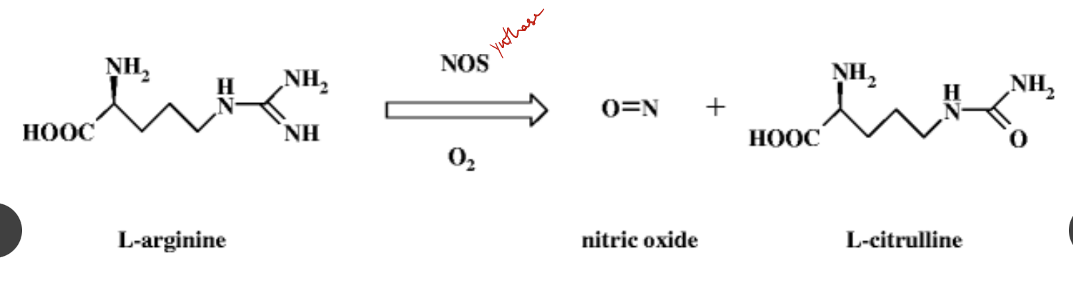 NO synthesis