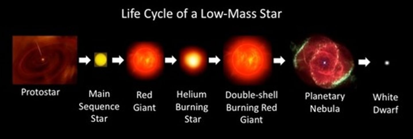 <p>nebula, protostar, main sequence star, red giant, planetary nebula, white dwarf, black dwarf</p>