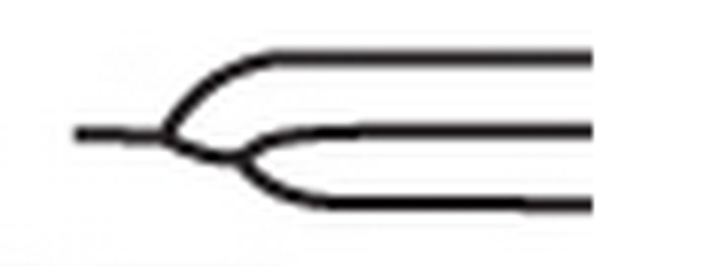 <p>When a ridge splits and then splits again</p>