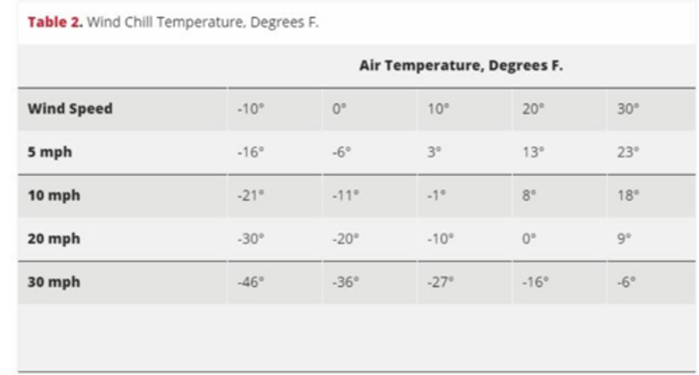 <p>what is effective temperature</p>