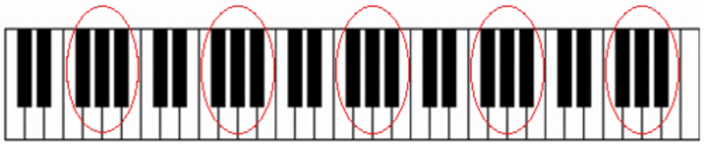 <p>3-black-key group</p>